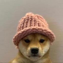 WIF dog meme coin logo